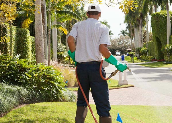 About Bluewater NM Pest Control